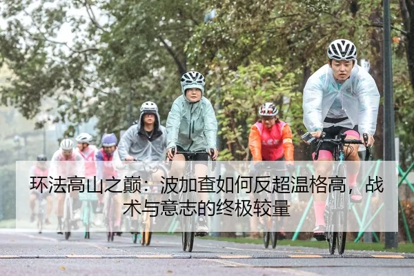 huan-fa-gao-shan-zhi-dian-bo-jia-cha-ru-he-fan-chao-wen-ge-gao-zhan-shu-yu-yi-zhi-de-zhong-ji-jiao-liang-2-297.jpg