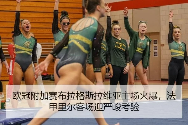 ou-guan-fu-jia-sai-bu-la-ge-si-la-wei-ya-zhu-chang-huo-bao-fa-jia-li-er-ke-chang-ying-yan-jun-kao-yan-3-814.jpg