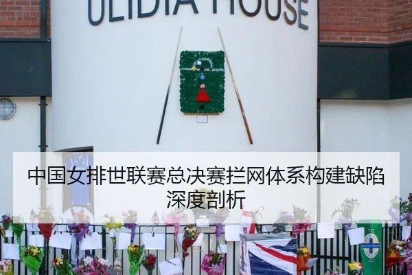 中国女排世联赛总决赛拦网体系构建缺陷深度剖析