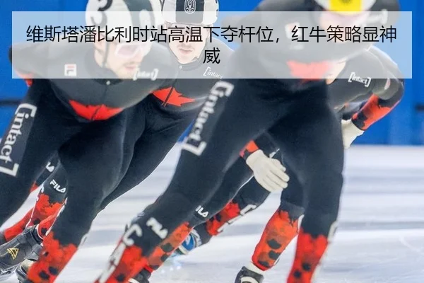 wei-si-ta-pan-bi-li-shi-zhan-gao-wen-xia-duo-gan-wei-hong-niu-ce-lve-xian-shen-wei-2-204.jpg