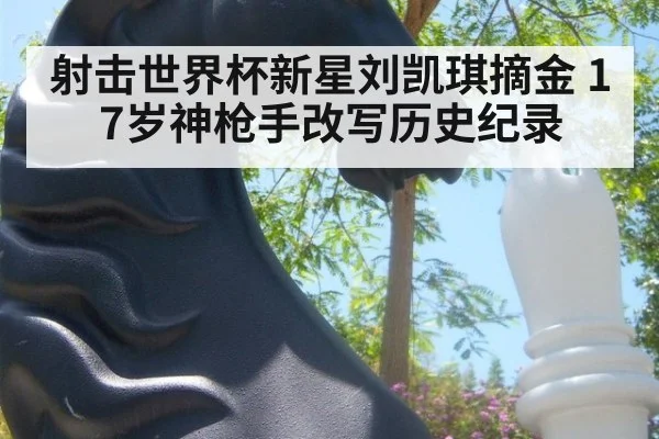 射击世界杯新星刘凯琪摘金 17岁神枪手改写历史纪录